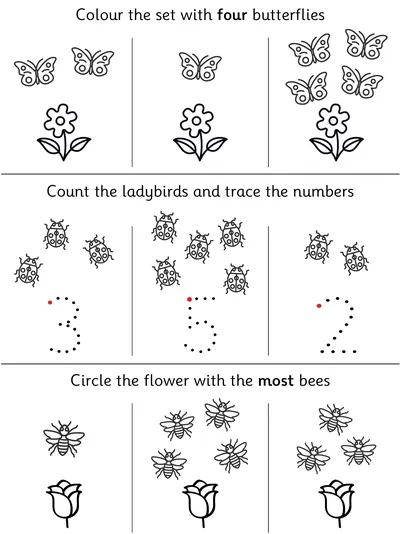 Counting and Comparing within 5