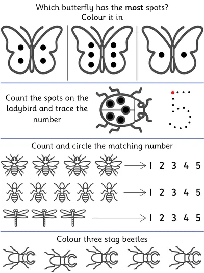 Count and Compare Minibeasts within 6