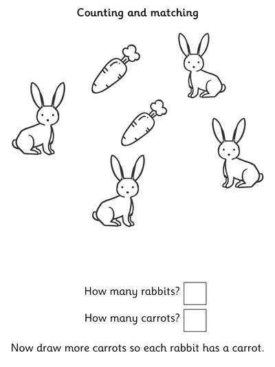 Counting Rabbits - One-to-One Correspondence