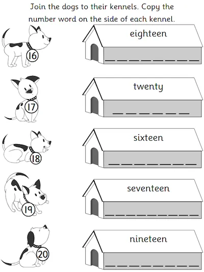 Read and Write Numerals from 16 to 20