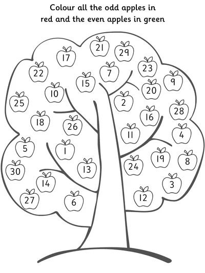 Recognise Odd and Even Numbers up to 30