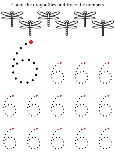 Count and Trace, Six