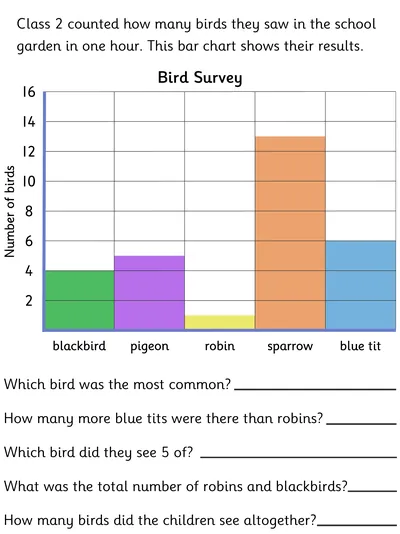 Interpreting a Bar Chart, Bird Survey