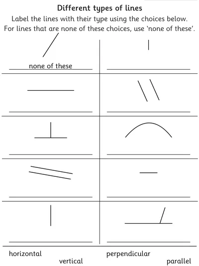 Identify Different Types of Lines
