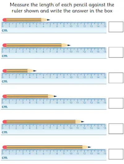 Measure and Record Lengths , Whole Centimetres