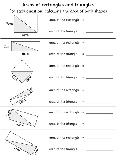 Calculating the Area of Rectangles and Triangles