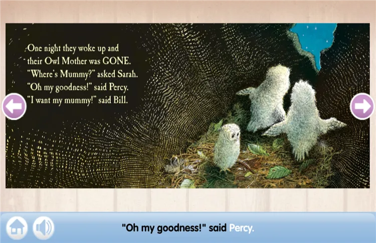 Owl Babies